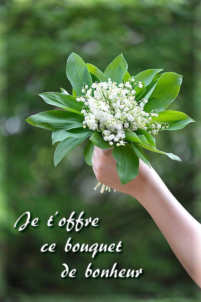 Bouquet Porte Bonheur